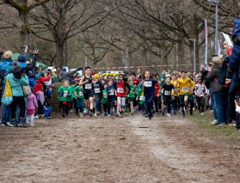 OW-IMG 5368 : 2025, Erlangen, Winterwaldlauf