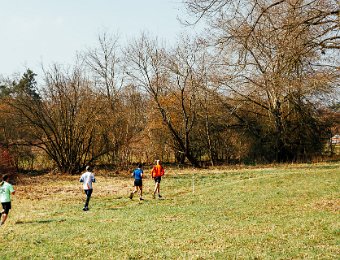 2026 03 21 Winterwaldlauf 6D2 WM 016 : Winterwaldlauf