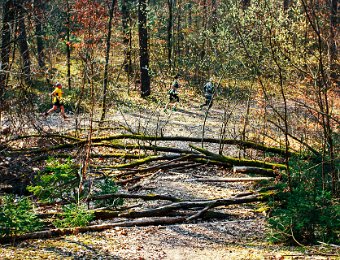 2026 03 21 Winterwaldlauf 700D WM 145 : LG Erlangen, Winterwaldlauf